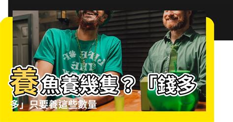 九隻魚|幾隻才可以？風水專家告訴你要「錢多多」，就要養這「幾隻」。